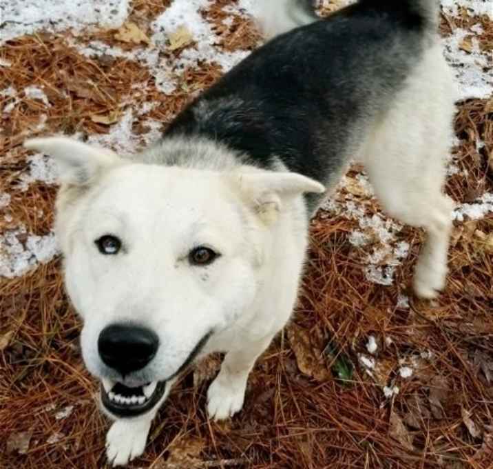 Photo of Charlie