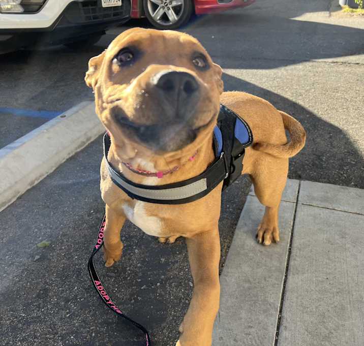 Photo of Murphy