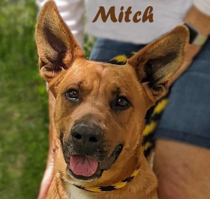 Photo of Mitch