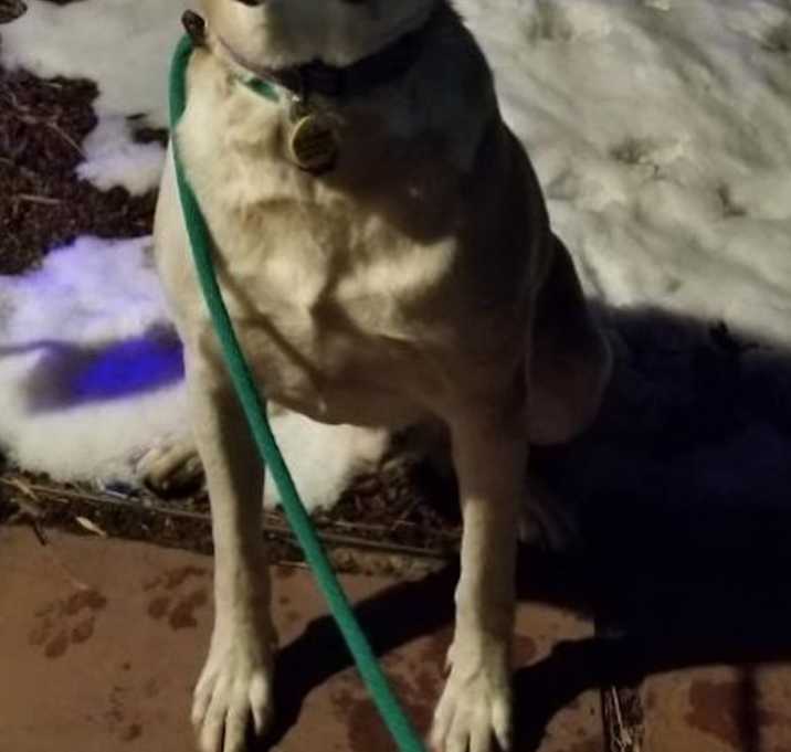 Photo of Mortimer