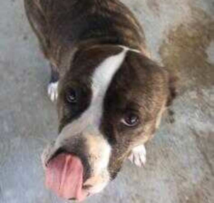 Photo of Amy
