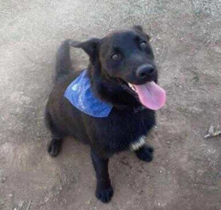 Photo of max