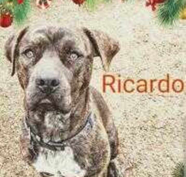 Photo of Ricardo