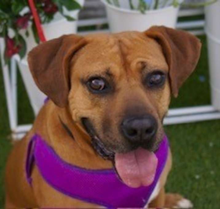 Photo of Tyson