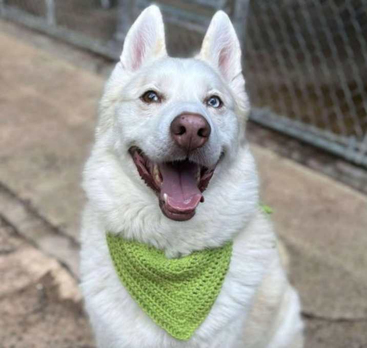 Photo of Maverick