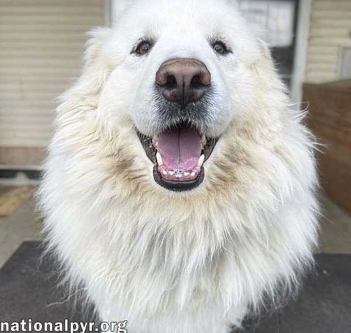 Photo of Mary in NY - Very Pretty 'Pocket Pyr'!