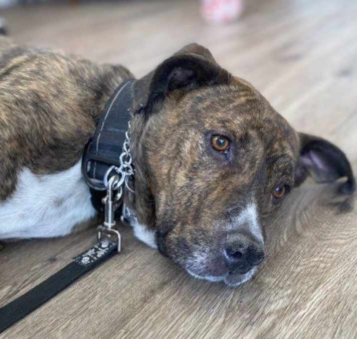 Photo of Zeus