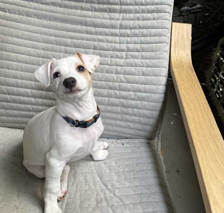 Photo of Osito