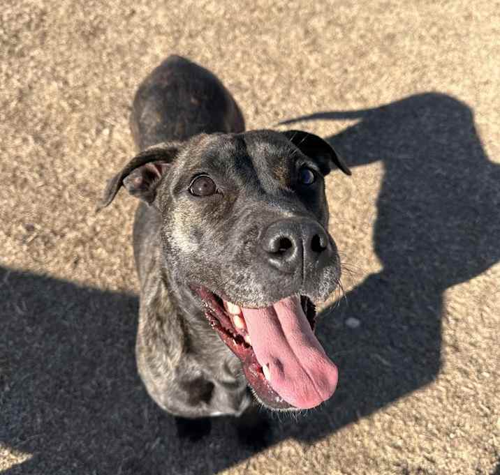 Photo of Odin