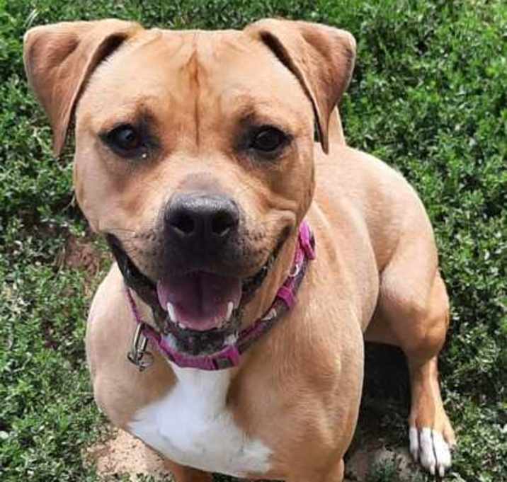 Photo of Dolly