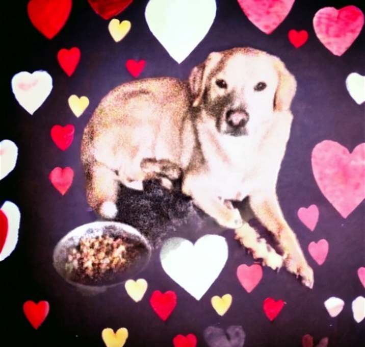 Photo of Buddy