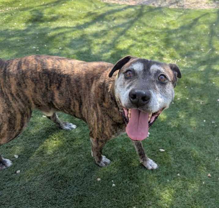 Photo of Sampson