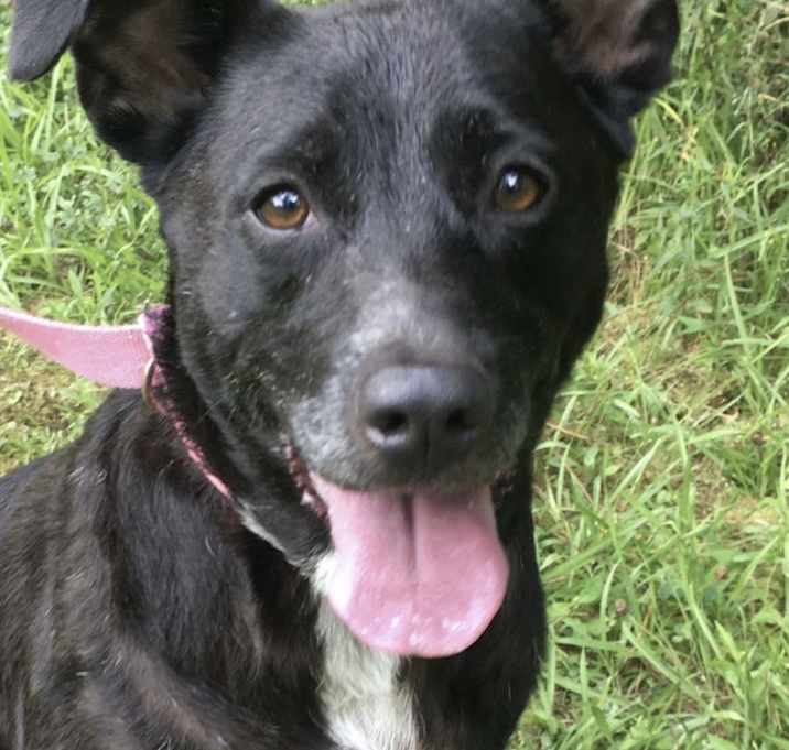 Photo of Ada