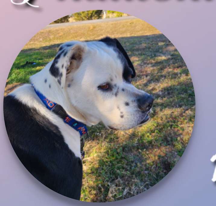 Photo of Phantom