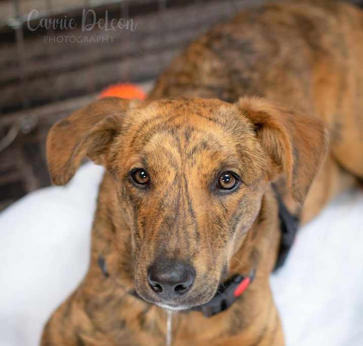Photo of Nuka