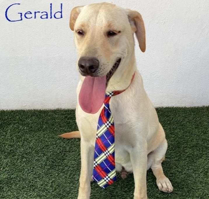 Photo of Gerald