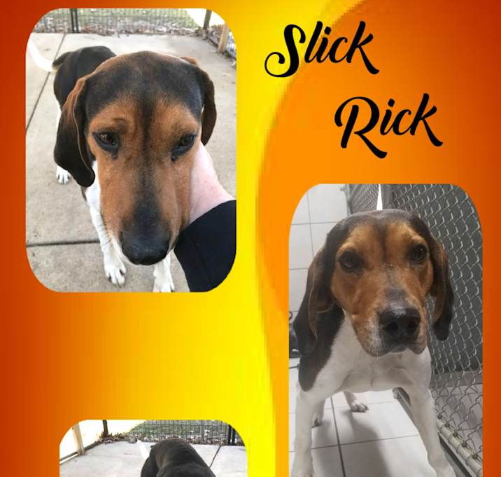 Photo of Slick Rick