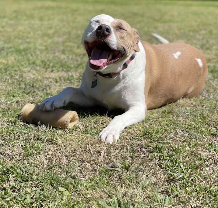Photo of Echo