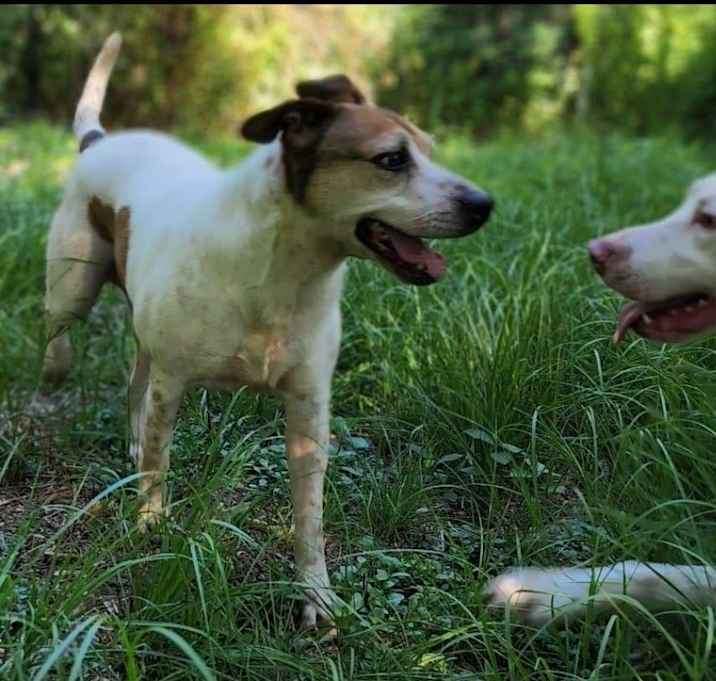 Photo of Stella Bella