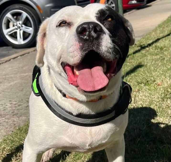 Photo of Petey