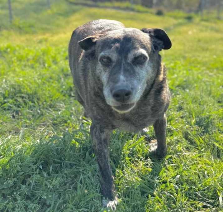 Photo of Annabelle