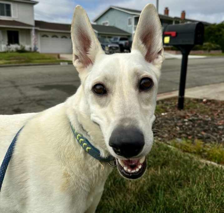 Photo of Gracie Mae