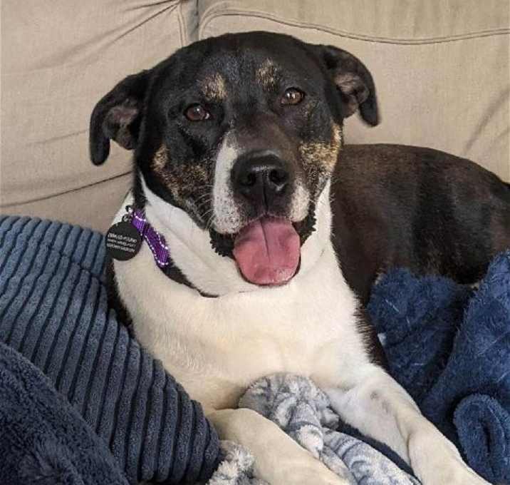 Photo of Dot