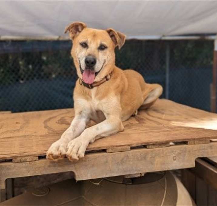 Photo of Rico
