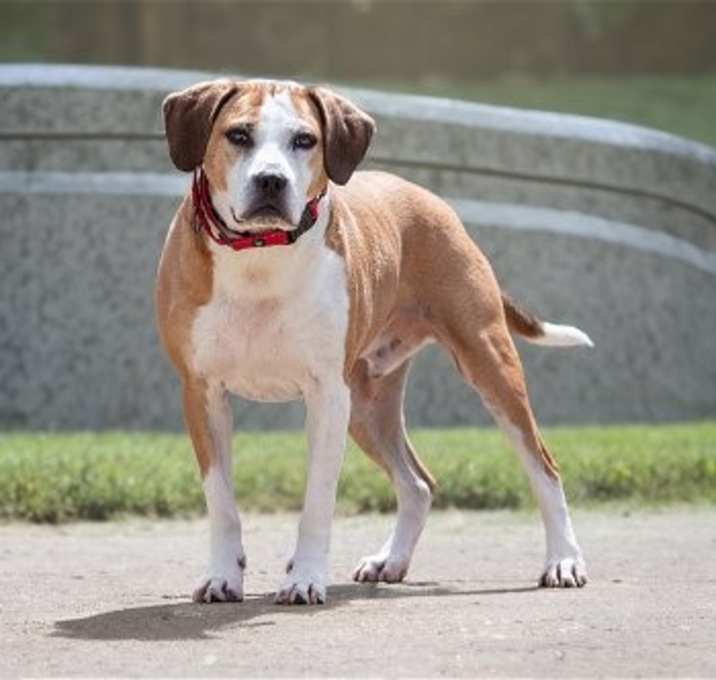 Photo of Hansel