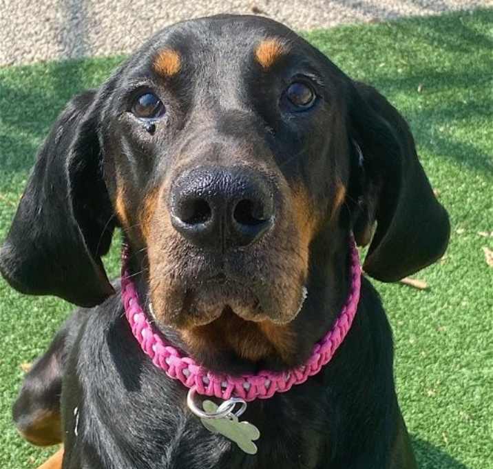 Photo of Velma