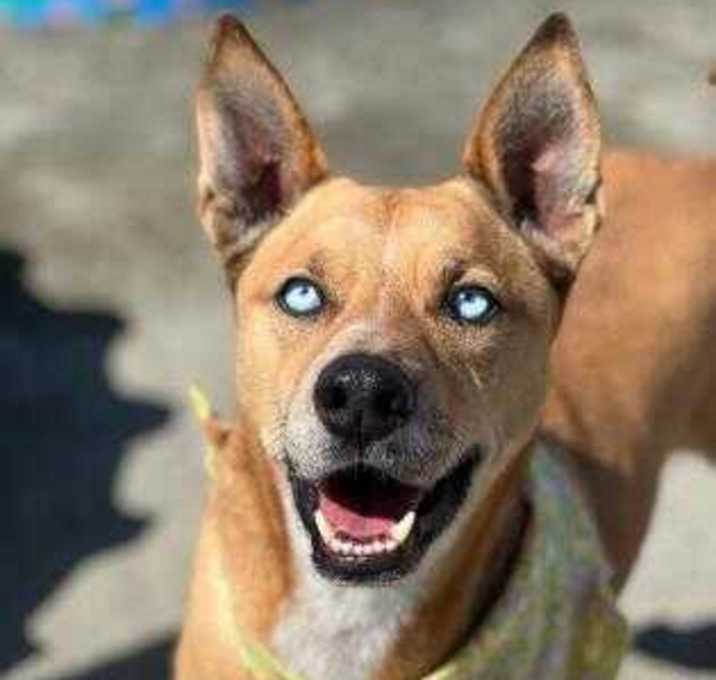 Photo of Monty