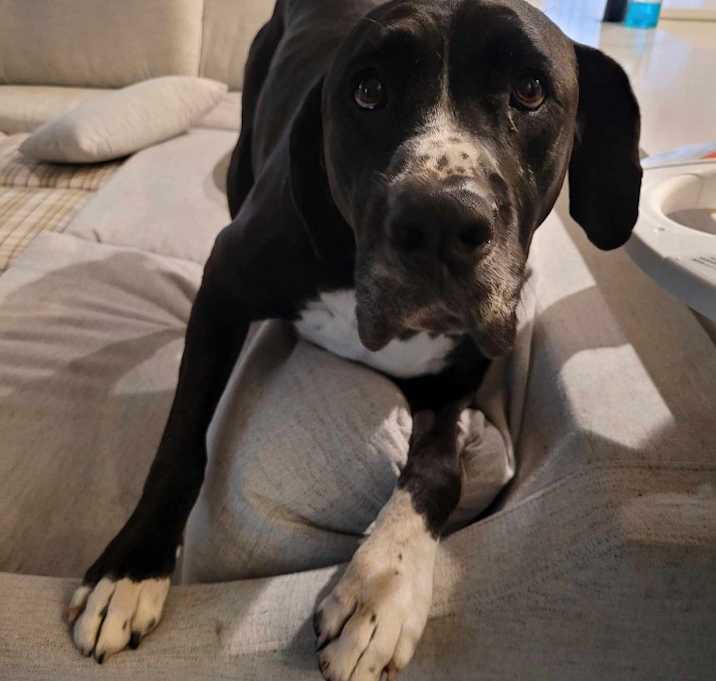 Photo of Stormy