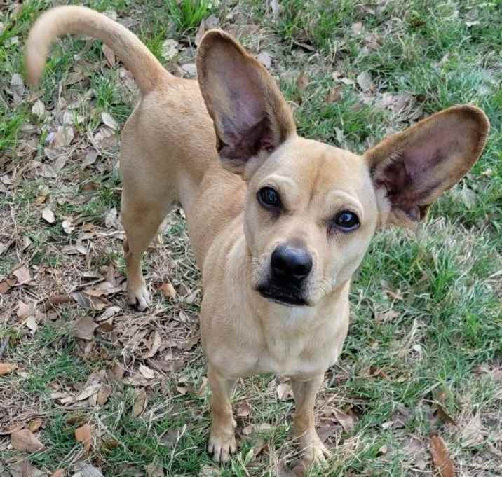 Photo of Pixie Jean