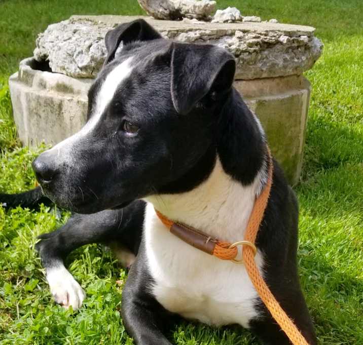 Photo of Oakley