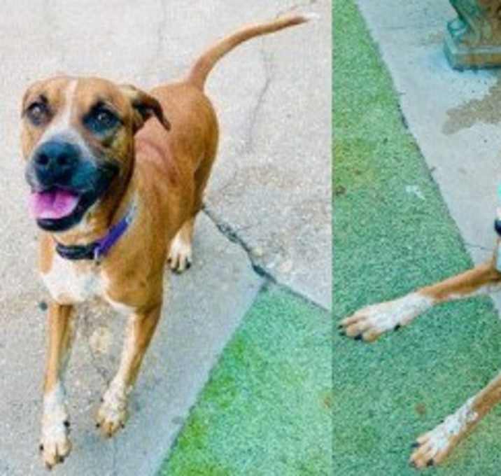 Photo of Cinnamon