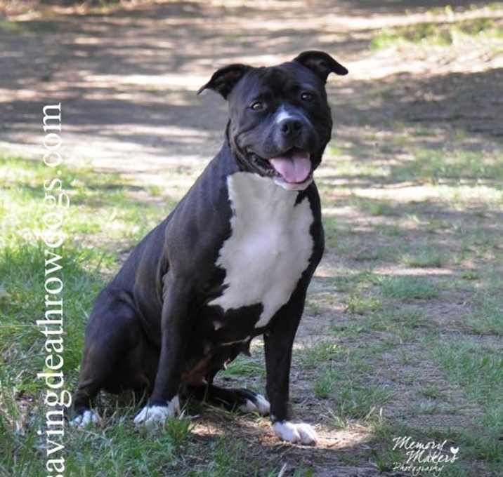 Photo of Nita