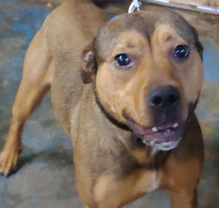 Photo of Georgia