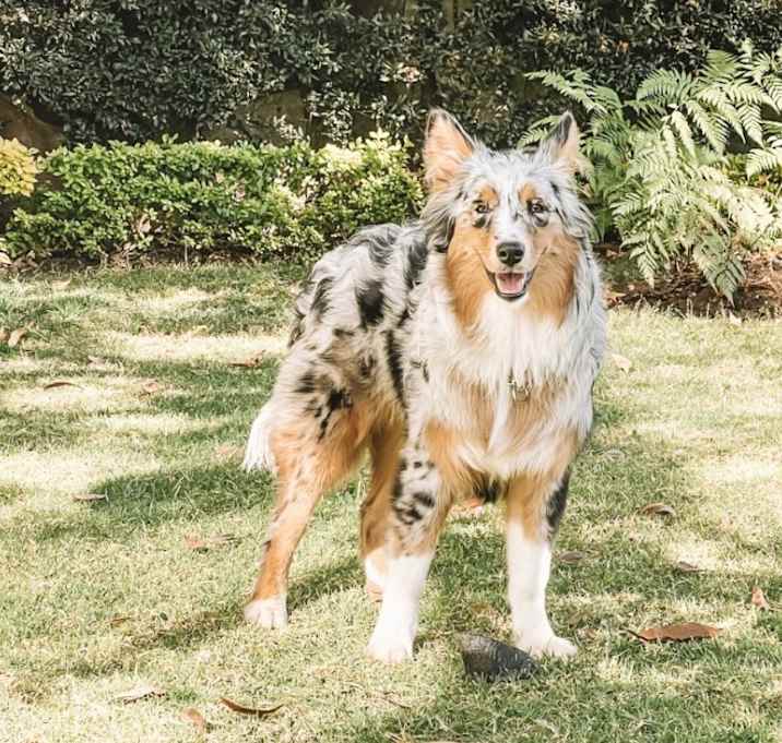 Photo of Pia