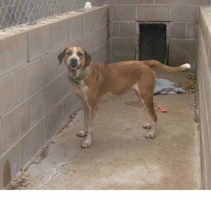 Photo of SNIPPY