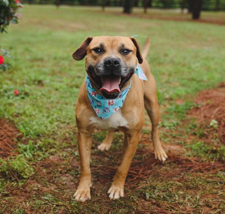 Photo of Otto