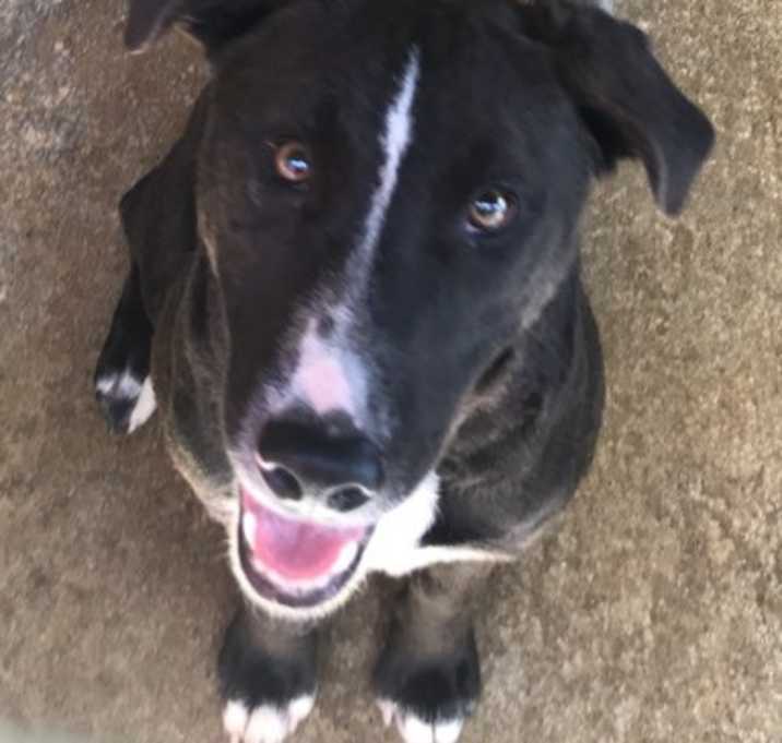 Photo of Max