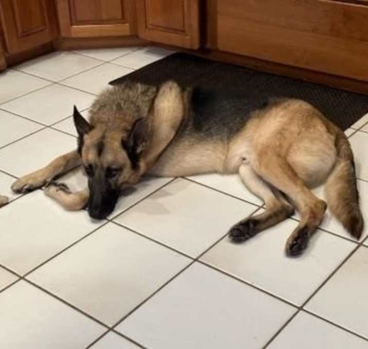 Photo of Hans