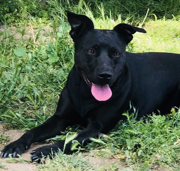 Photo of Zyppr