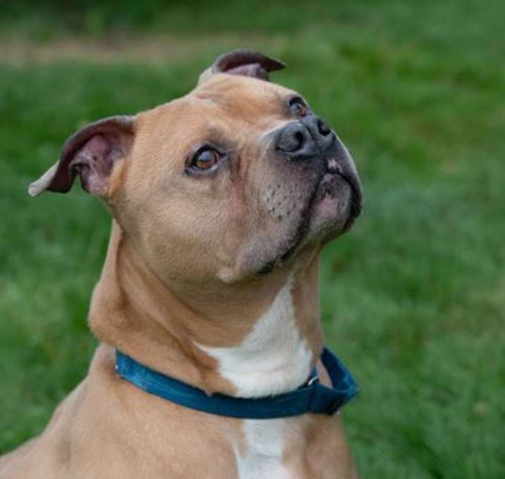 Photo of Kaizer