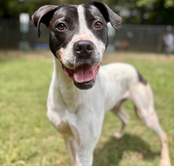Photo of ATLAS