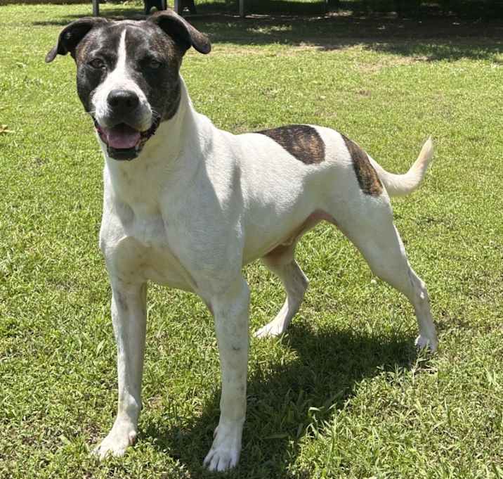 Photo of ZIGGY