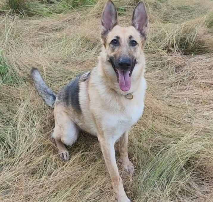 Photo of Freya