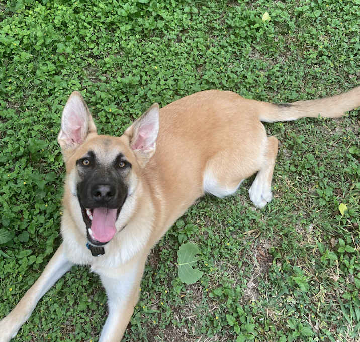 Photo of Patty