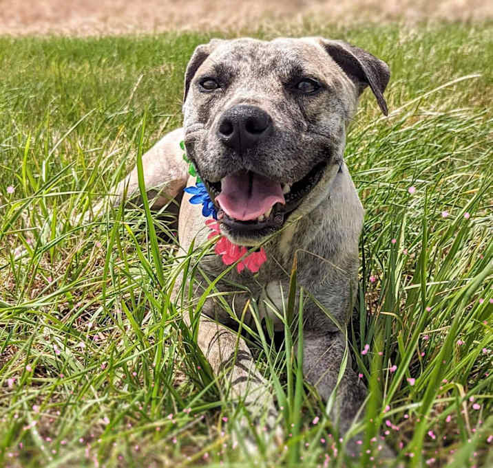 Photo of Daisey