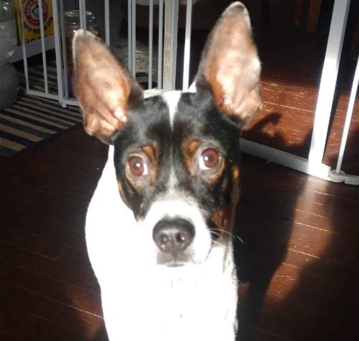 Photo of Kirby